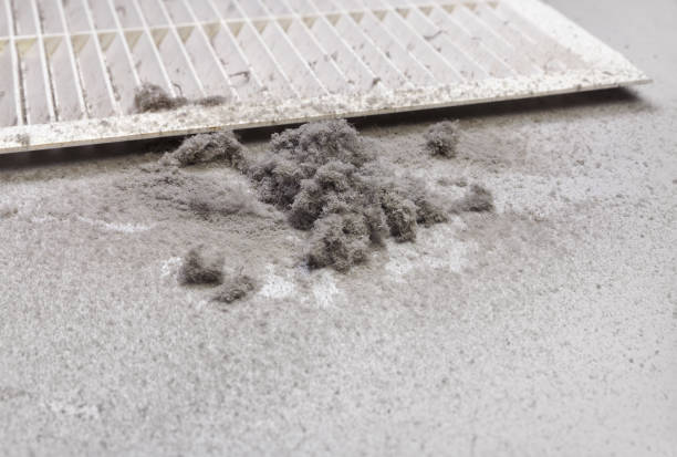 Best Ventilation Cleaning Services  in Garden Plain, KS