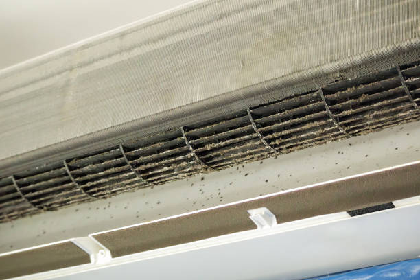 Best Residential Air Duct Cleaning  in Garden Plain, KS