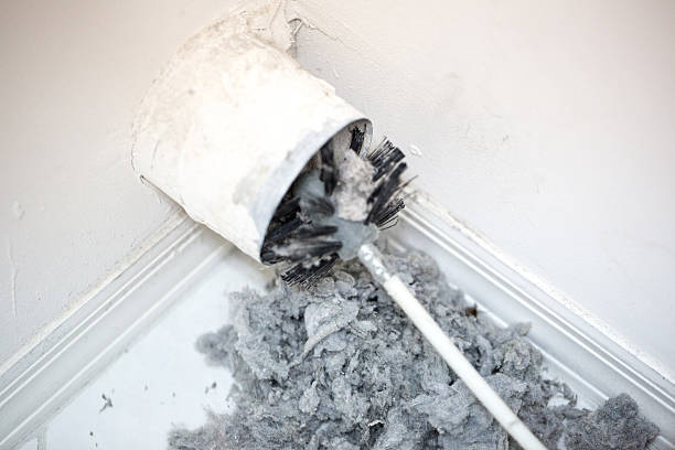 Best Affordable Air Duct Cleaning  in Garden Plain, KS